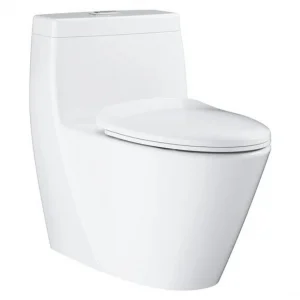 Bồn Cầu 1 Khối Grohe 39316000 Projectline
