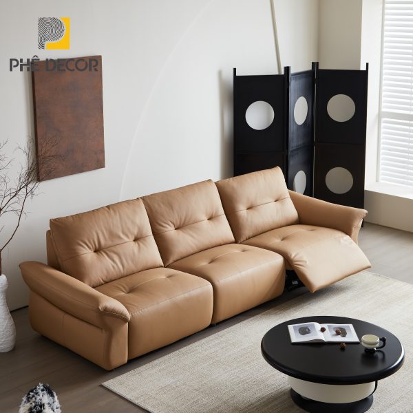 Ghế sofa chỉnh điện SCD2506 - Ảnh 4