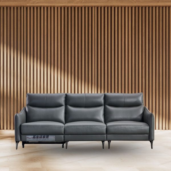 Ghế sofa chỉnh điện SCD8855A - Ảnh 4
