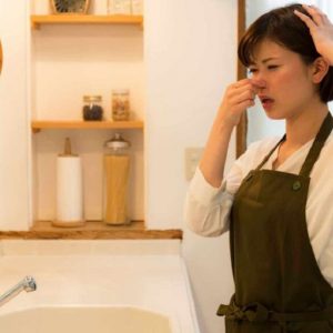 Thiết Bị Ngăn Mùi Nhà Vệ Sinh Từ Hệ Thống Ống Tiêu Âm Rehau